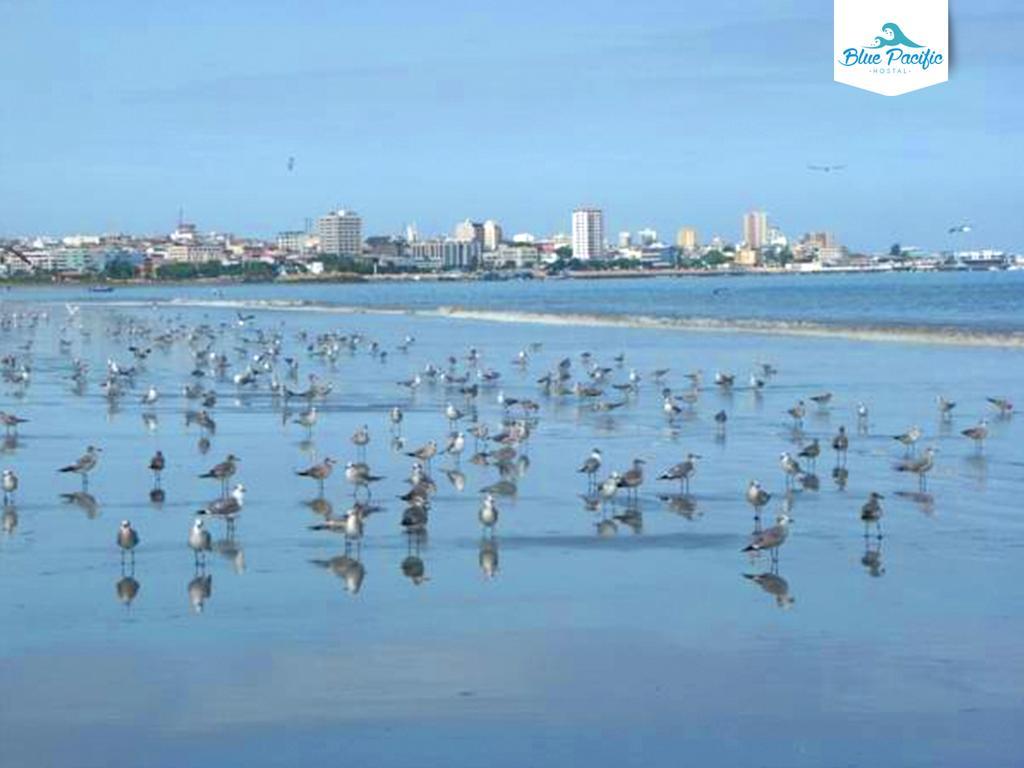 Hostal Blue Pacific มันตา ภายนอก รูปภาพ